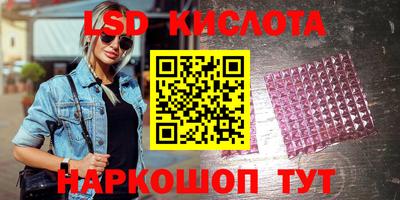 дмт Сланцы